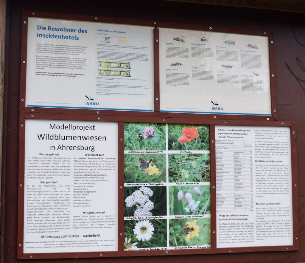 Modellprojekt Wildblumenwiesen in Ahrensburg
