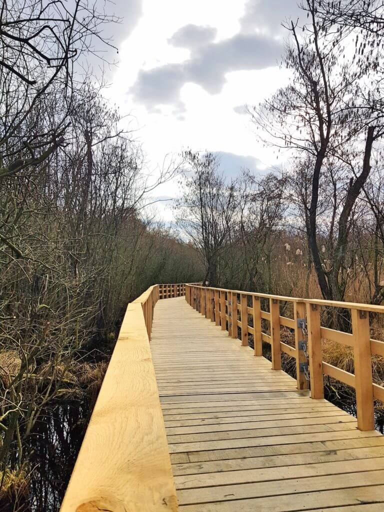 Die Brücke am Moorwanderweg Ahrensburg – Foto: Nicole Stroschein