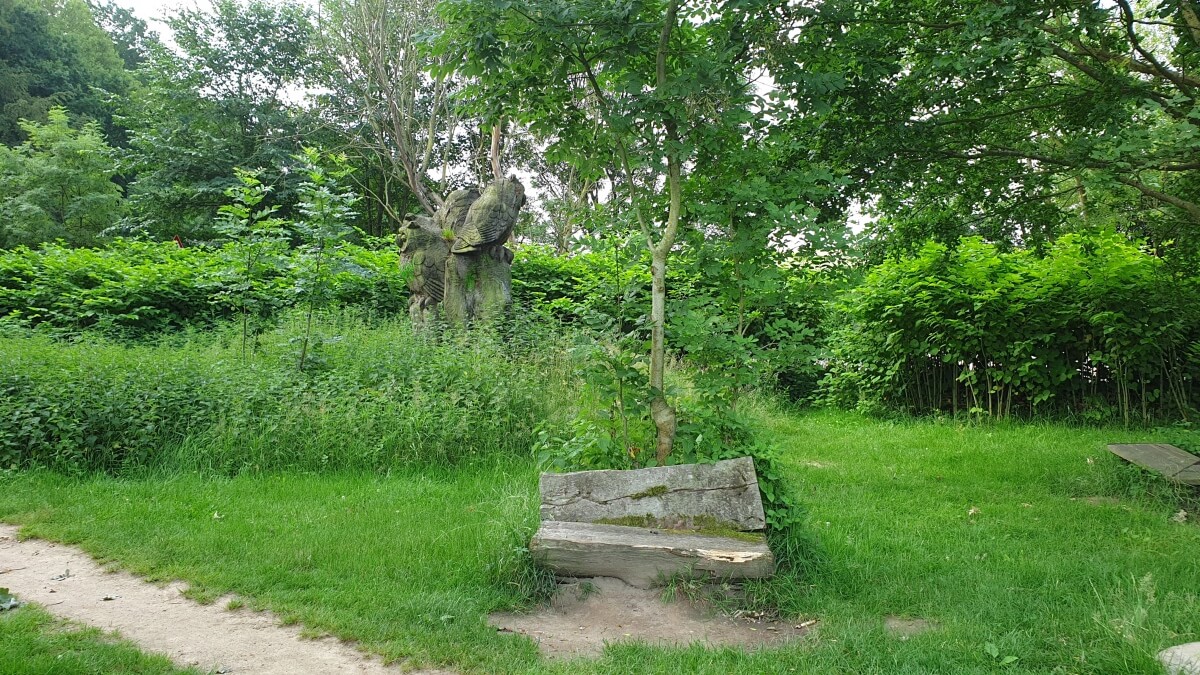 SommerSpaziergang rund um den Bredenbeker Teich