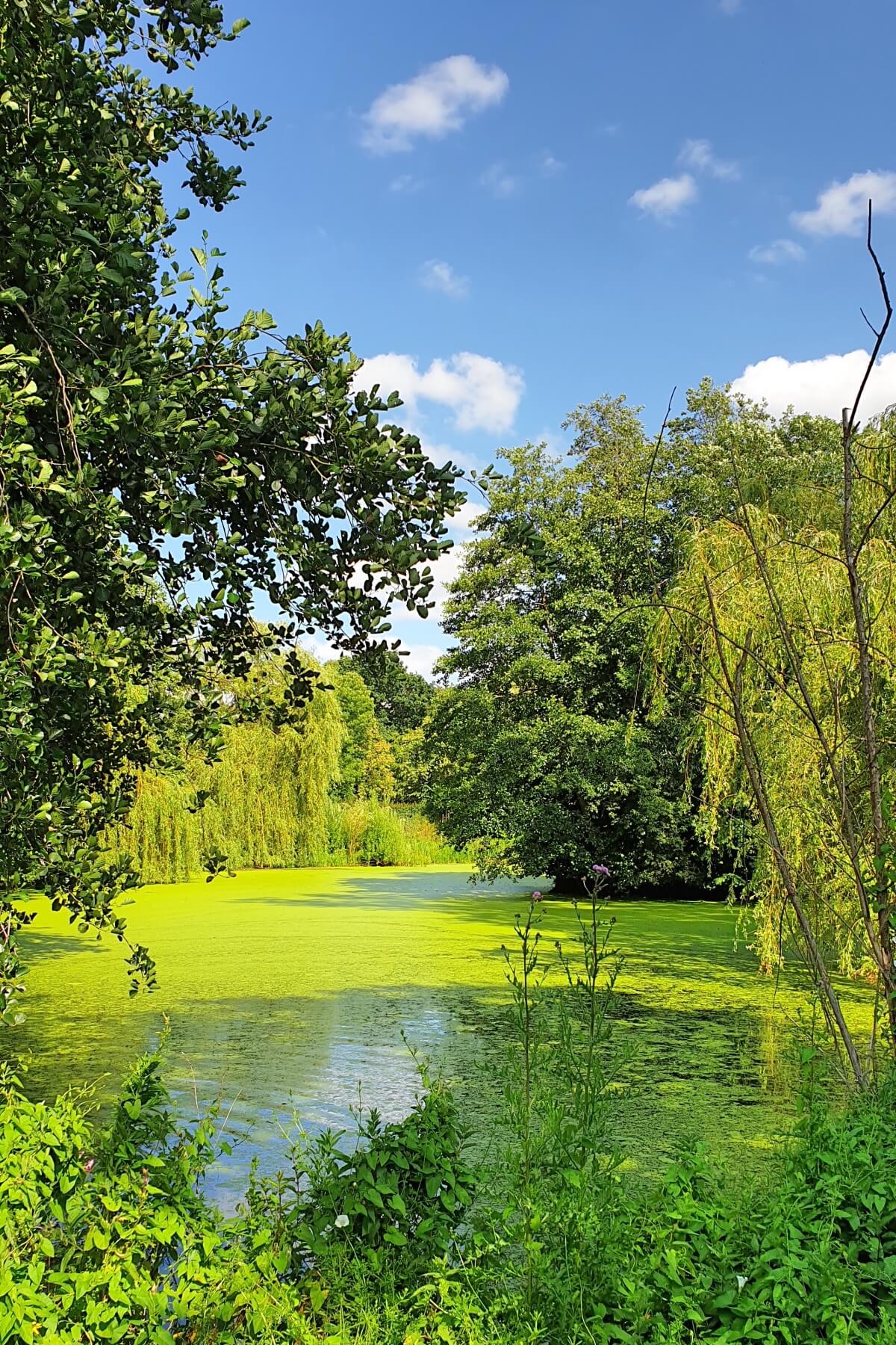 Aalfangpark und Aalfang Teich Ein kleiner Spaziergang