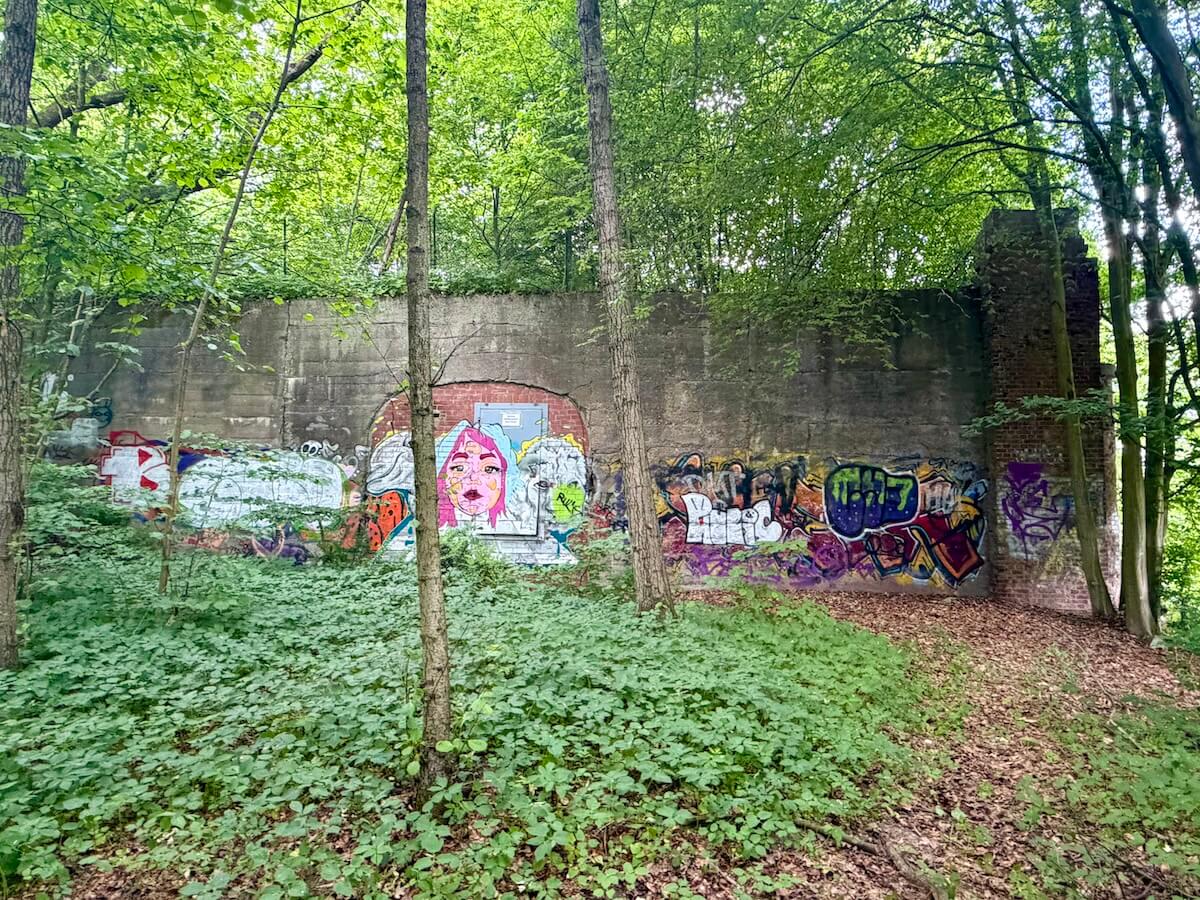 Eine Mauer mit Grafittis im Grünen