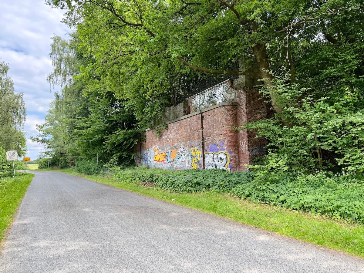 Backsteinmauer mit Graffiti und viel Büschen, die darüber wachsen