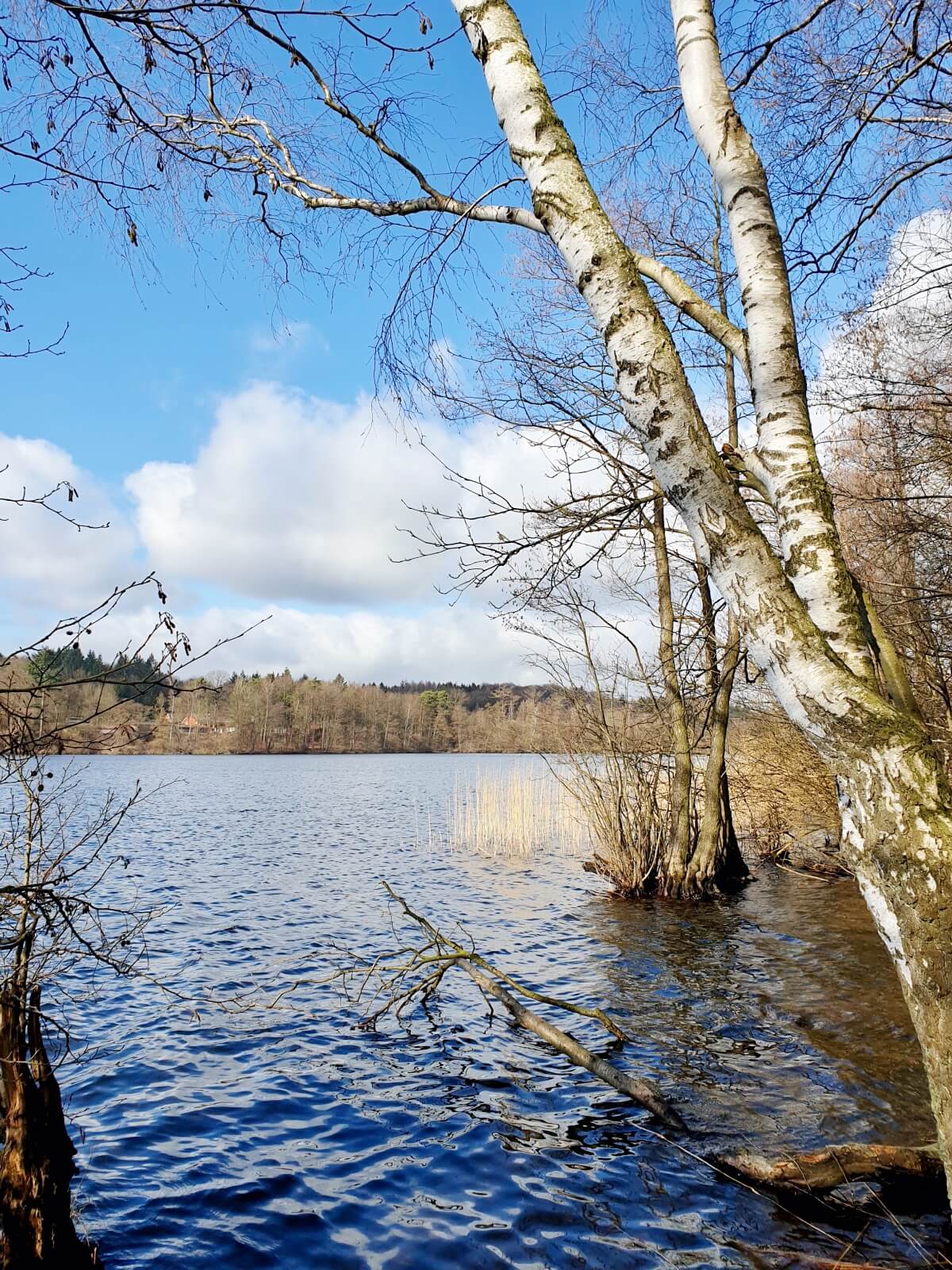 Der Großensee Spaziergang vom Freibad zum Nordstrand