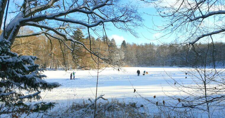 Der Park Manhagen im Winter