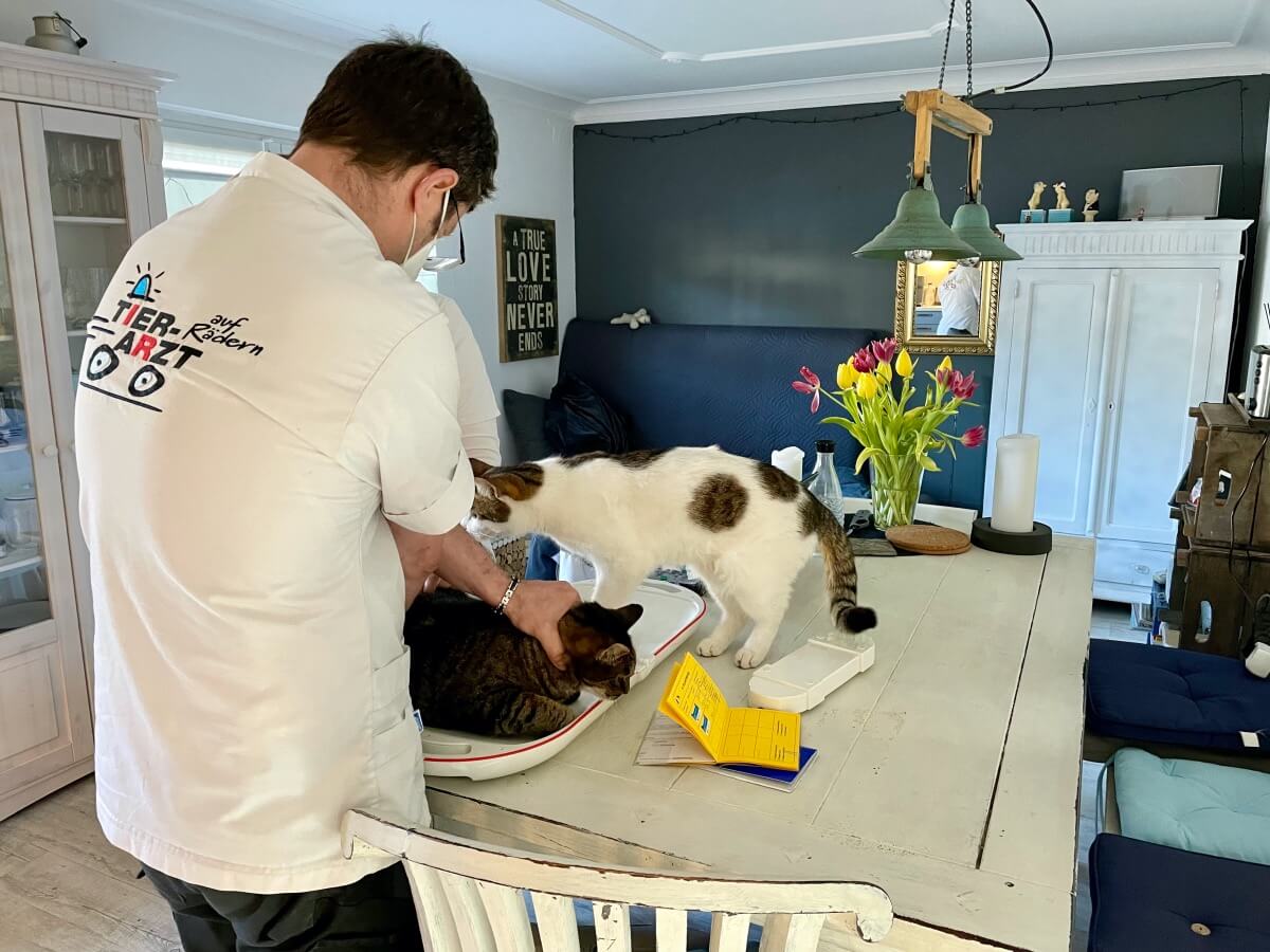 Mobiler Tierarzt Aachen Dr Mahmoud Aly Mobiler Tierarzt – Auf Hausbesuch bei Kalle und Henry in Ahrensburg
