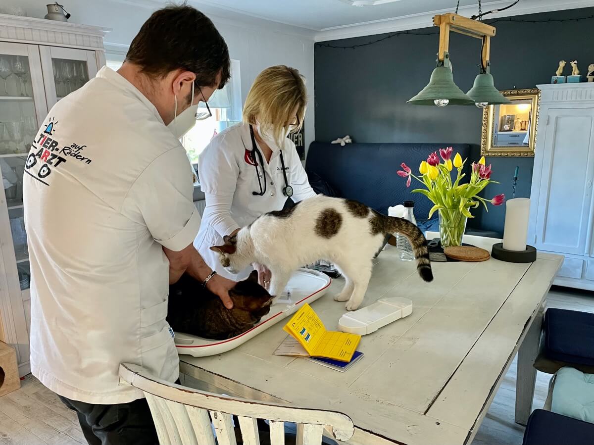 Mobiler Tierarzt – auf Hausbesuch in Ahrensburg