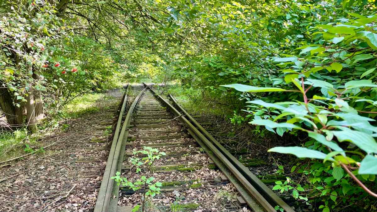 Verlassene Gleise, Alter Bahnübergang, Ewige Weide, Ahrensburg – Foto: Nicole Schmidt