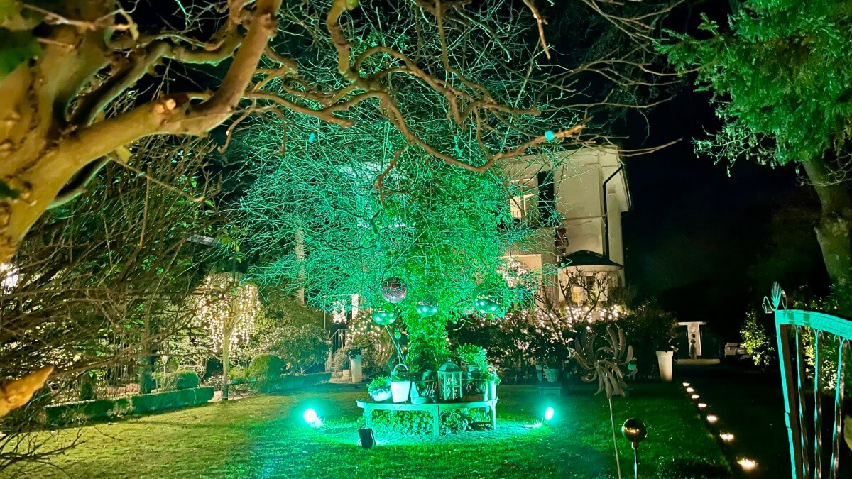 Grün beleuchteter Baum in einem Vorgarten in Ahrensburg … – Foto: Nicole Schmidt