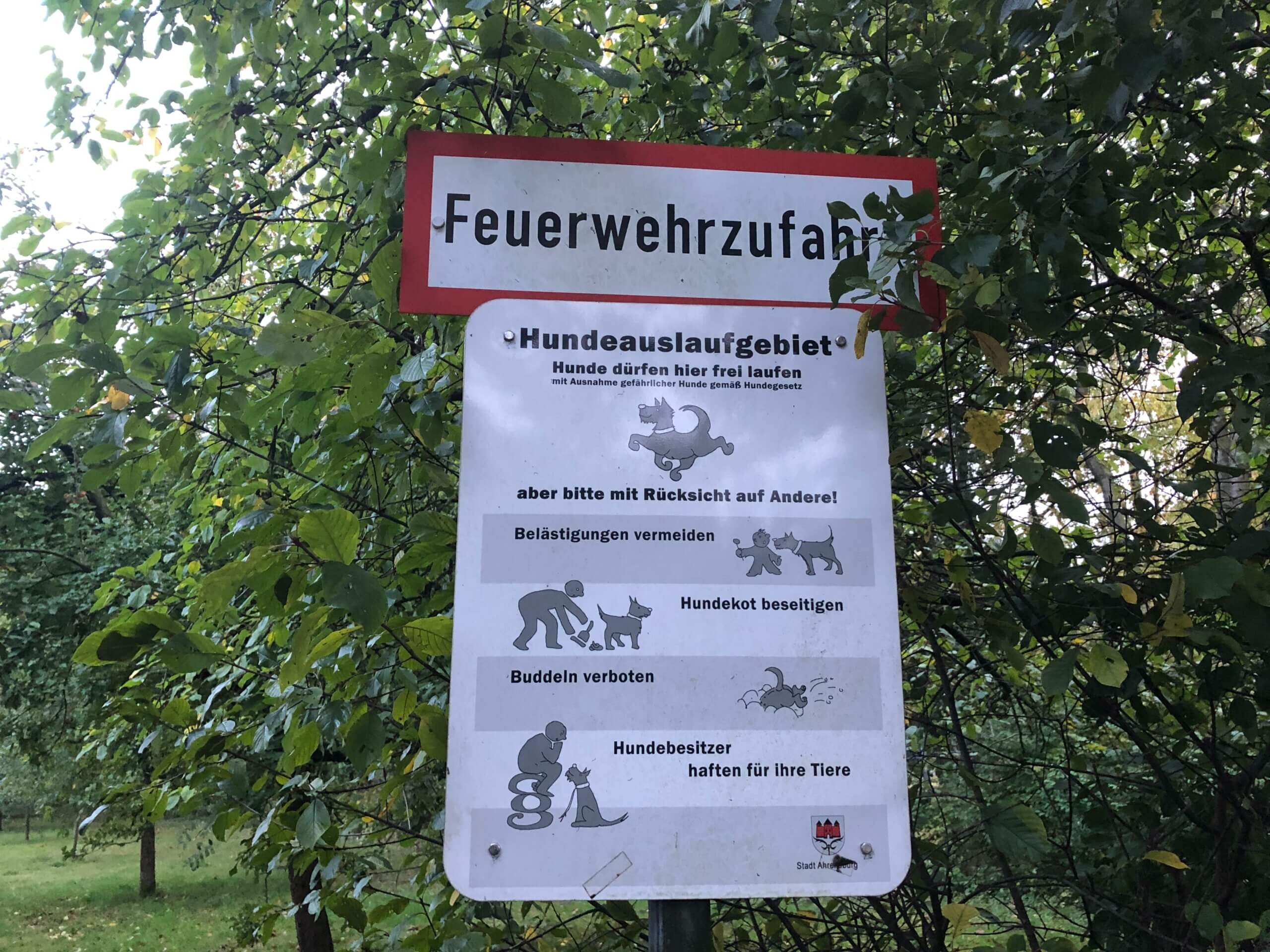 Der Hundeauslauf an der Kirschplantage in Ahrensburg – Foto: Sonja Georgieff