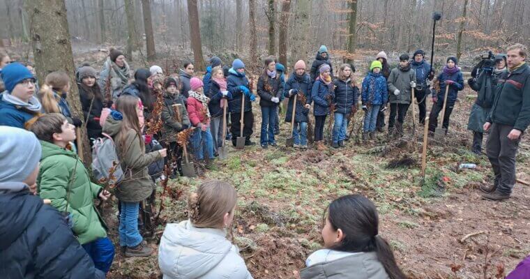 450 Bäume für den Klimaschutz – Tolle Aktion der Stormarnschule