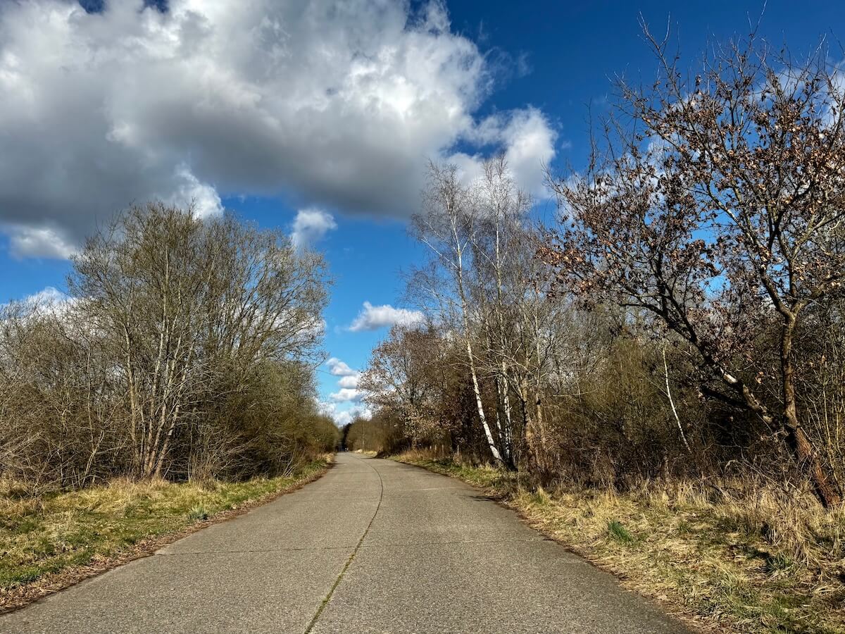 Straße durch das Naturschutzgebiet Höltigbaum