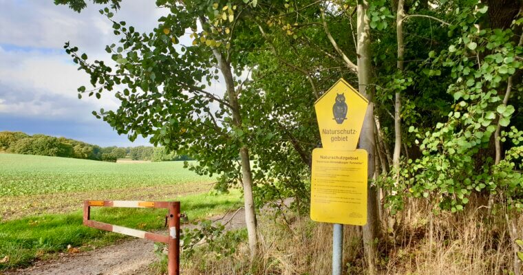 So kannst du die Vögel im Tunneltal schützen! 🦅