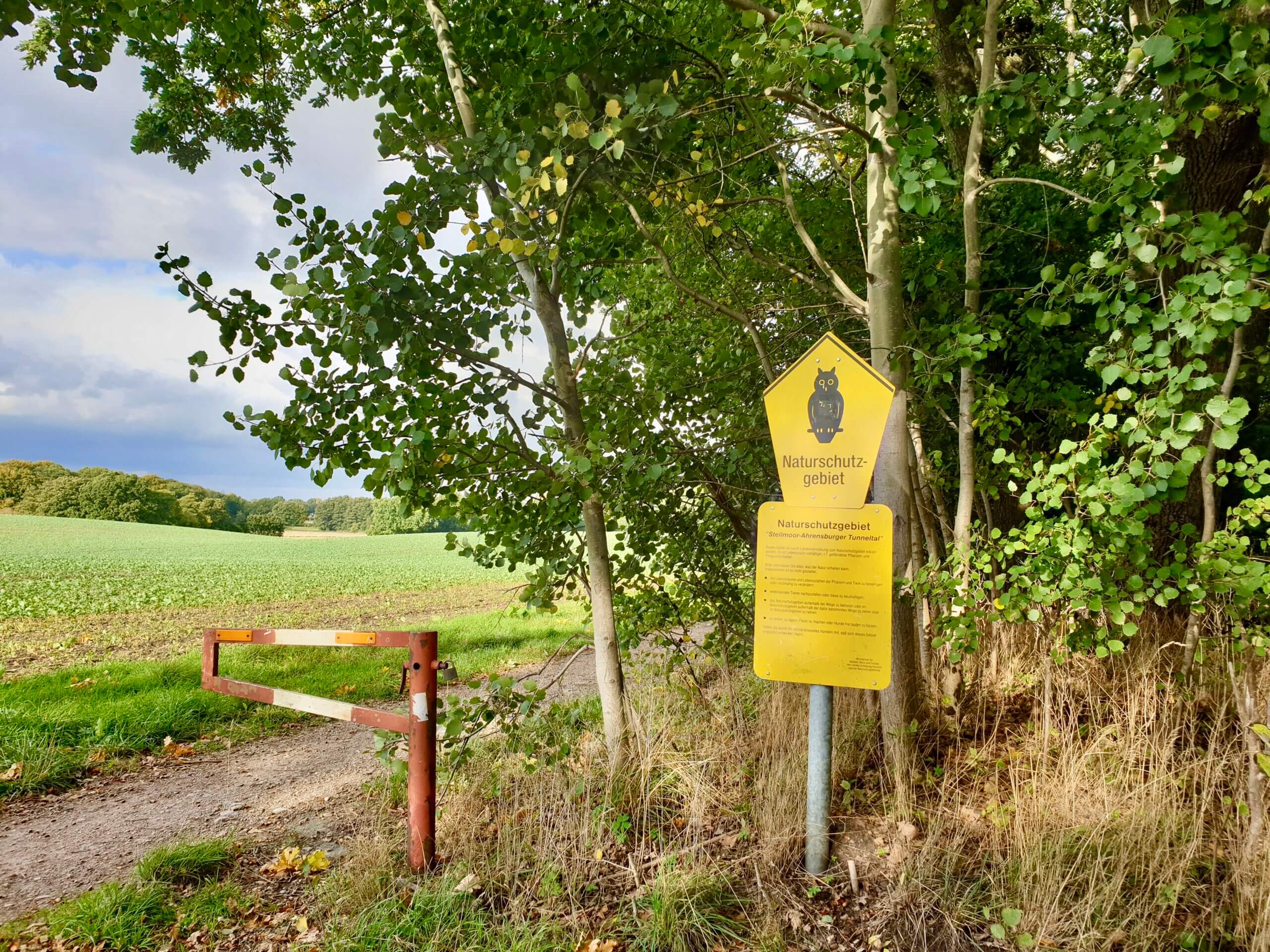 So kannst du die Vögel im Tunneltal schützen! 🦅