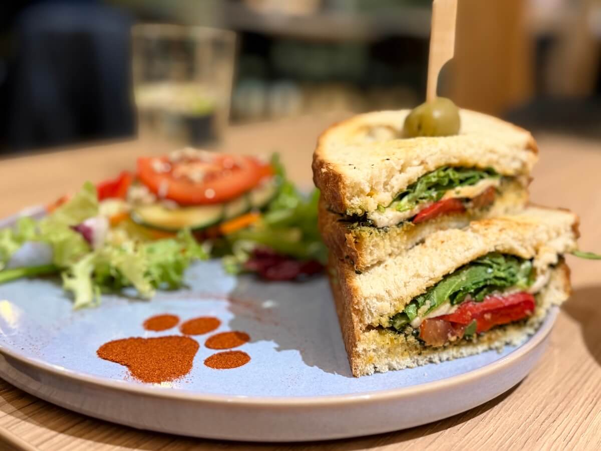 Sandwich auf einem Teller, auf dem ein Pfotenabdruck aus Kakao ist, daneben Salat