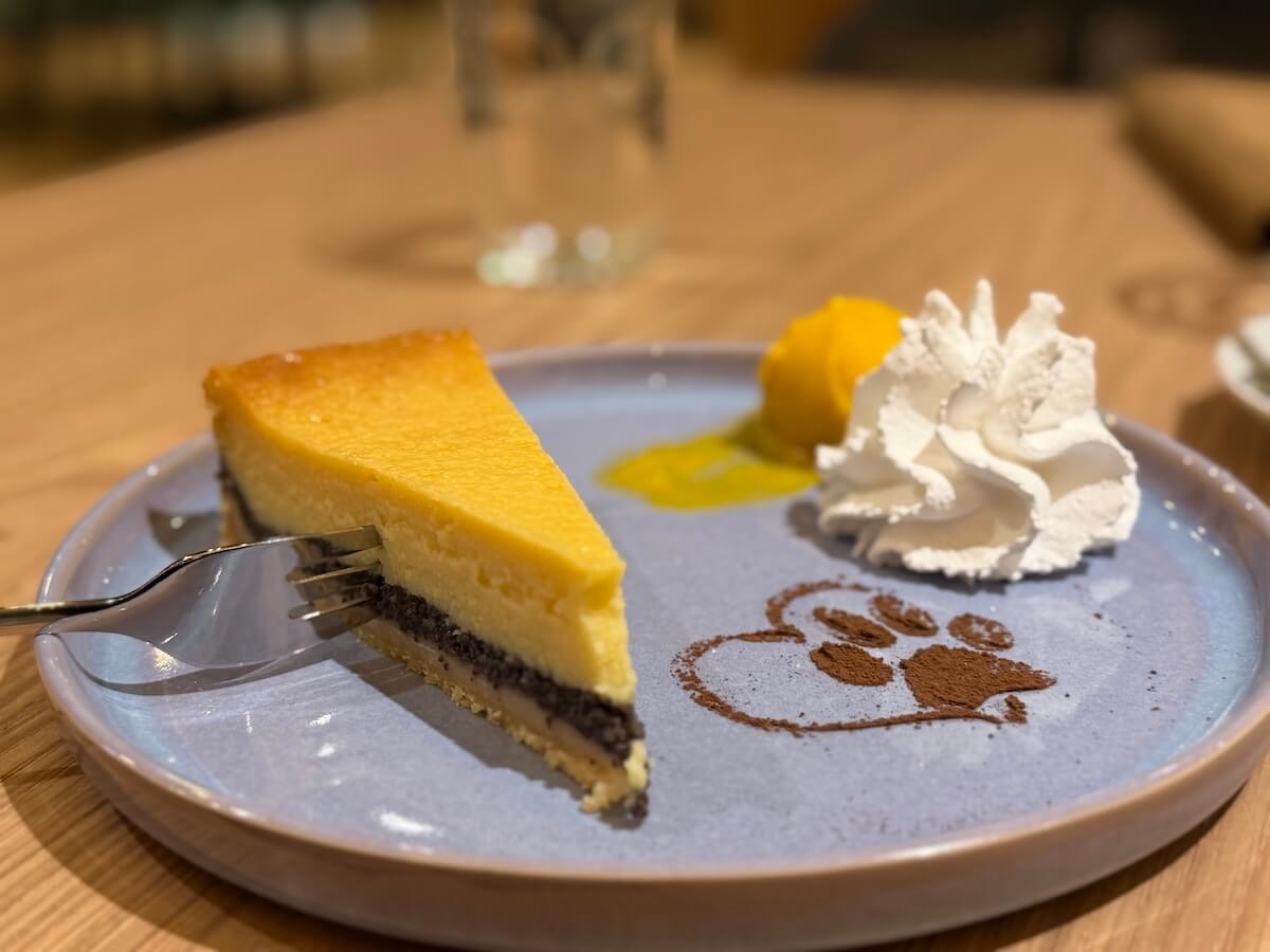 Käsekuchen auf einem Teller mit etwas Sahne und Eiscreme